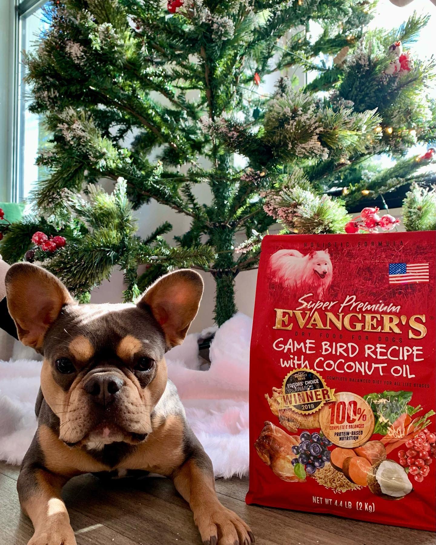 Evanger's Super Premium Gamebird Recipe with Coconut Oil Dry Dog Food - 33 lb Bag | High Protein Grain-Free Kibble for Active & Senior Dogs | Perfect for Training, Weight Management & Sensitive Stomachs