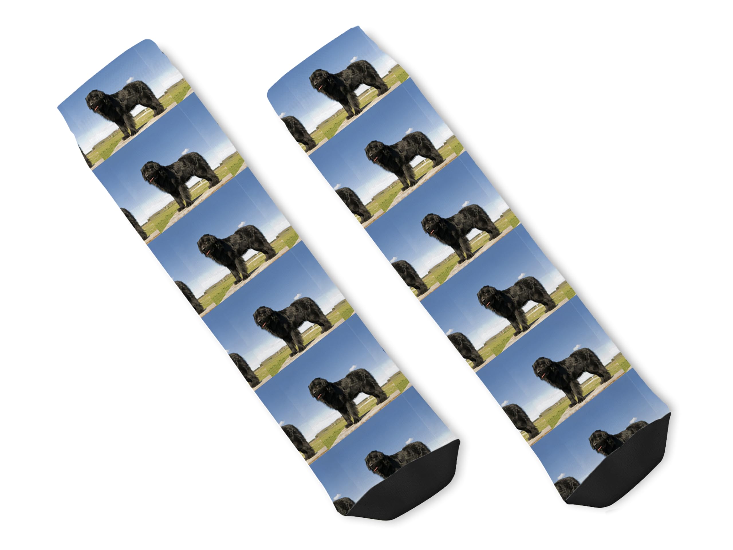 Newfoundland 1 Novelty Socks - Soft Ultra-Comfortable Funny Socks for Men & Women - Perfect Birthday Gift, Christmas Present - Ideal for Dog Lovers, Pet Owners & Newfoundland Fans