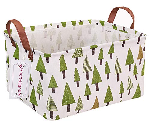 1A-Rec-Green forest