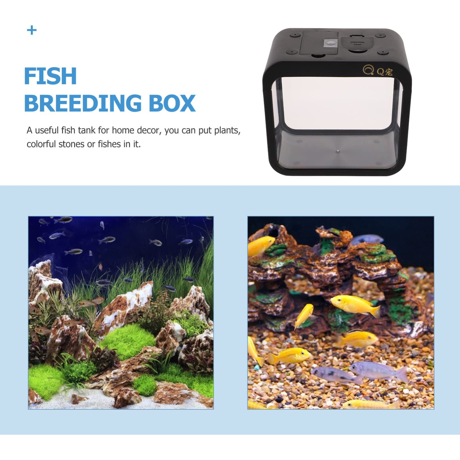 Creative Mini Aquarium Landscape - Small Transparent Fish Tank with LED Light, Desktop Battle Case for Betta Fish | Perfect for Home, Office, and Kids' Room Decor