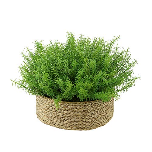 Natural Seagrass