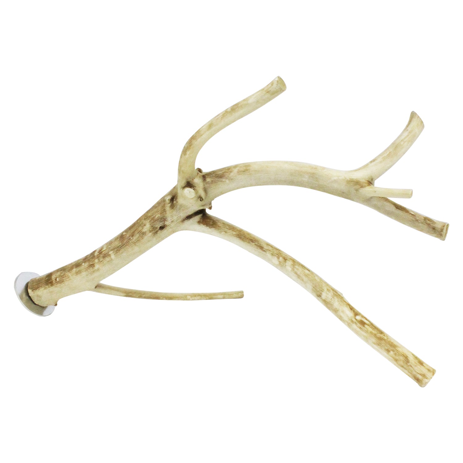 Multi Branch Perch for Birds - Natural Wood Bird Perch Stand with Multiple Branches - Perfect for Parrots, Cockatiels, and Small Birds - Cage Accessory for Climbing and Playing