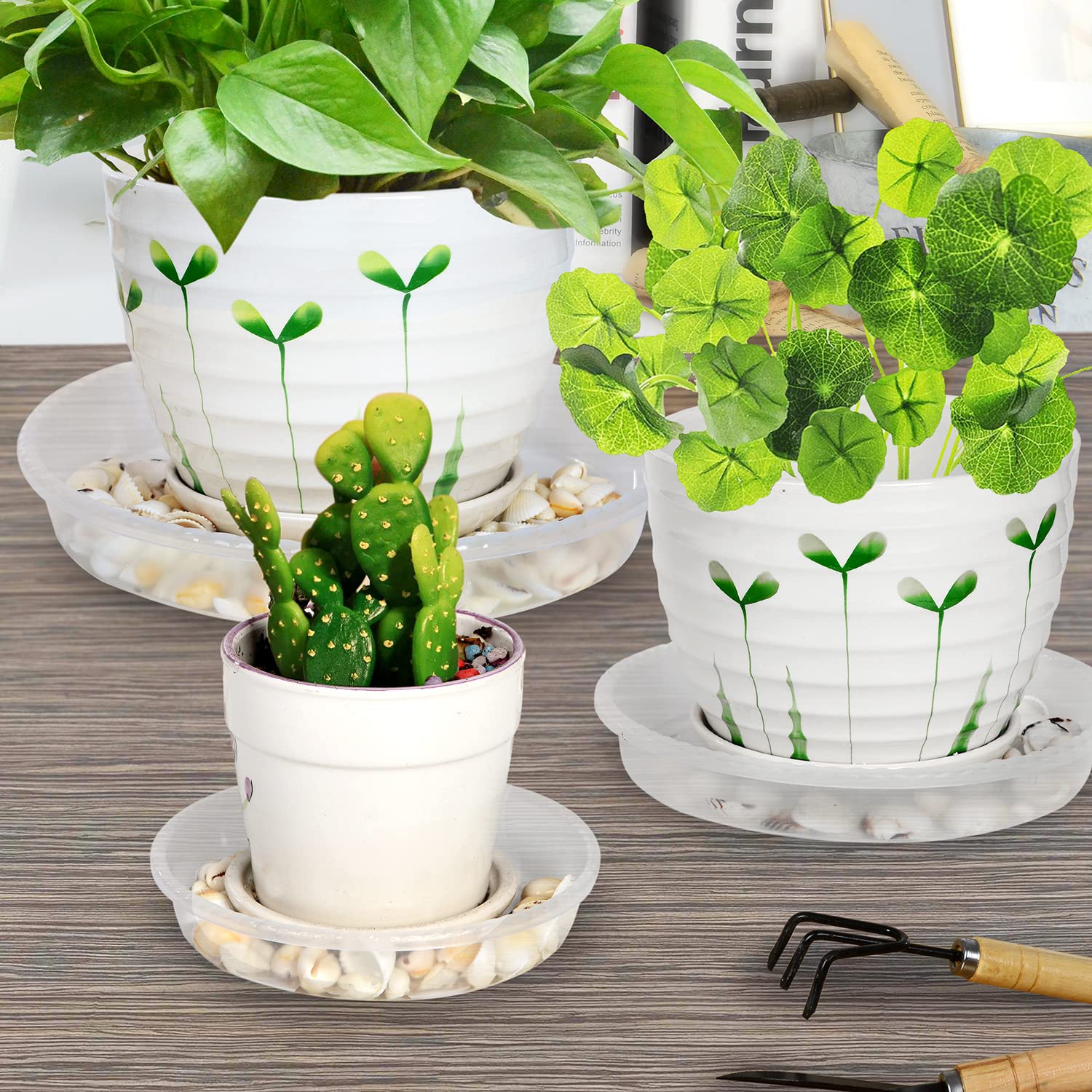 6 Pack Heavy Duty Clear Plastic Plant Saucers - 6