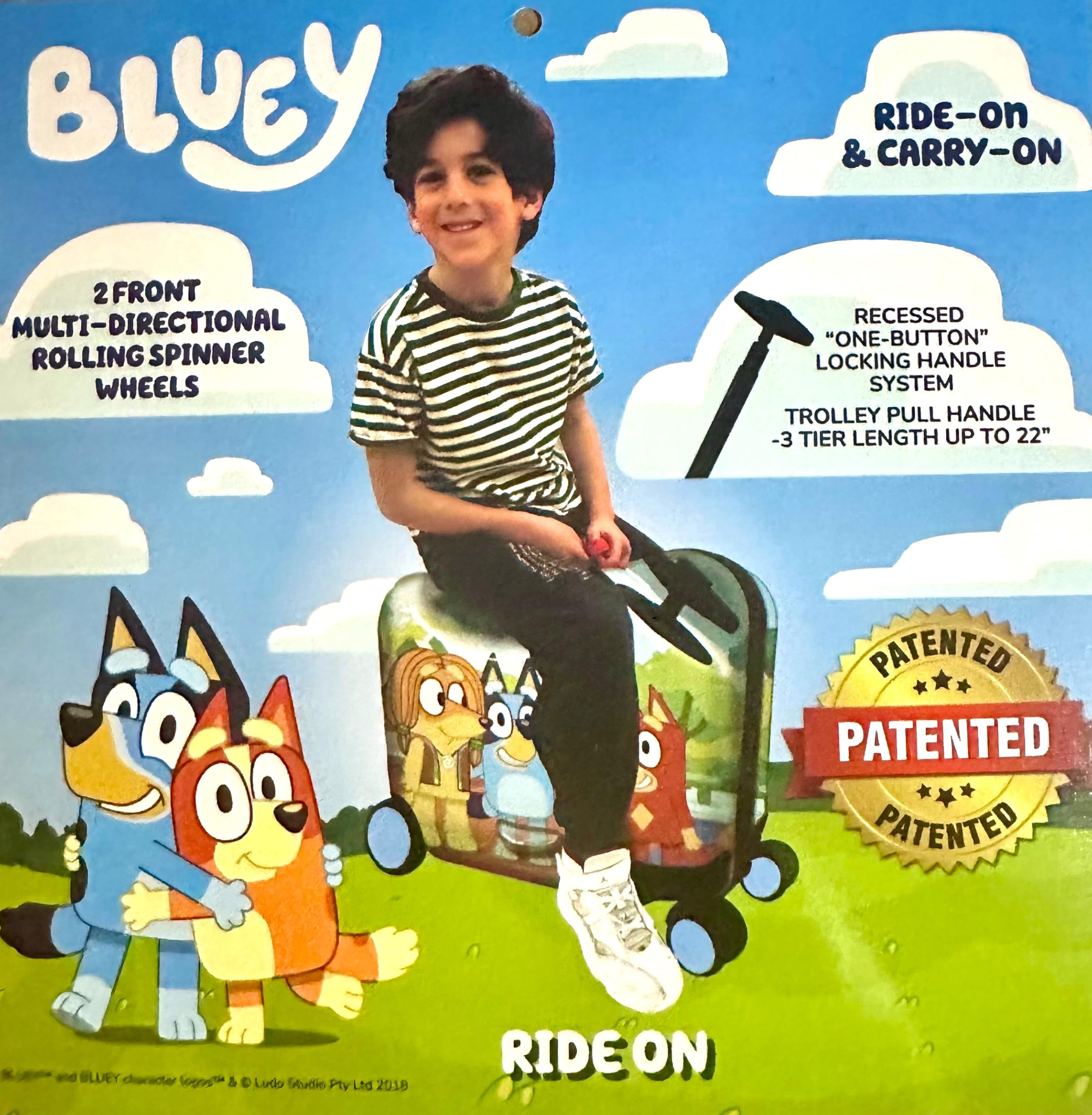 Bluey 18
