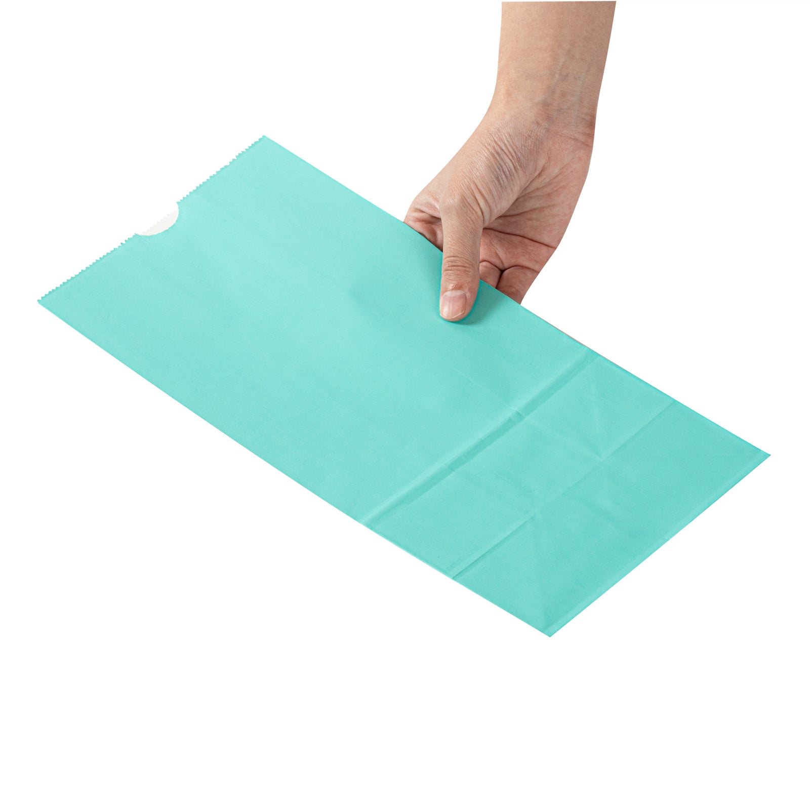 Premium Turquoise Paper Bags - 8 lb Capacity, 6 x 4 x 11.75 Inches, Pack of 100 - Perfect for Gift Wrapping, Party Favors & Retail Packaging