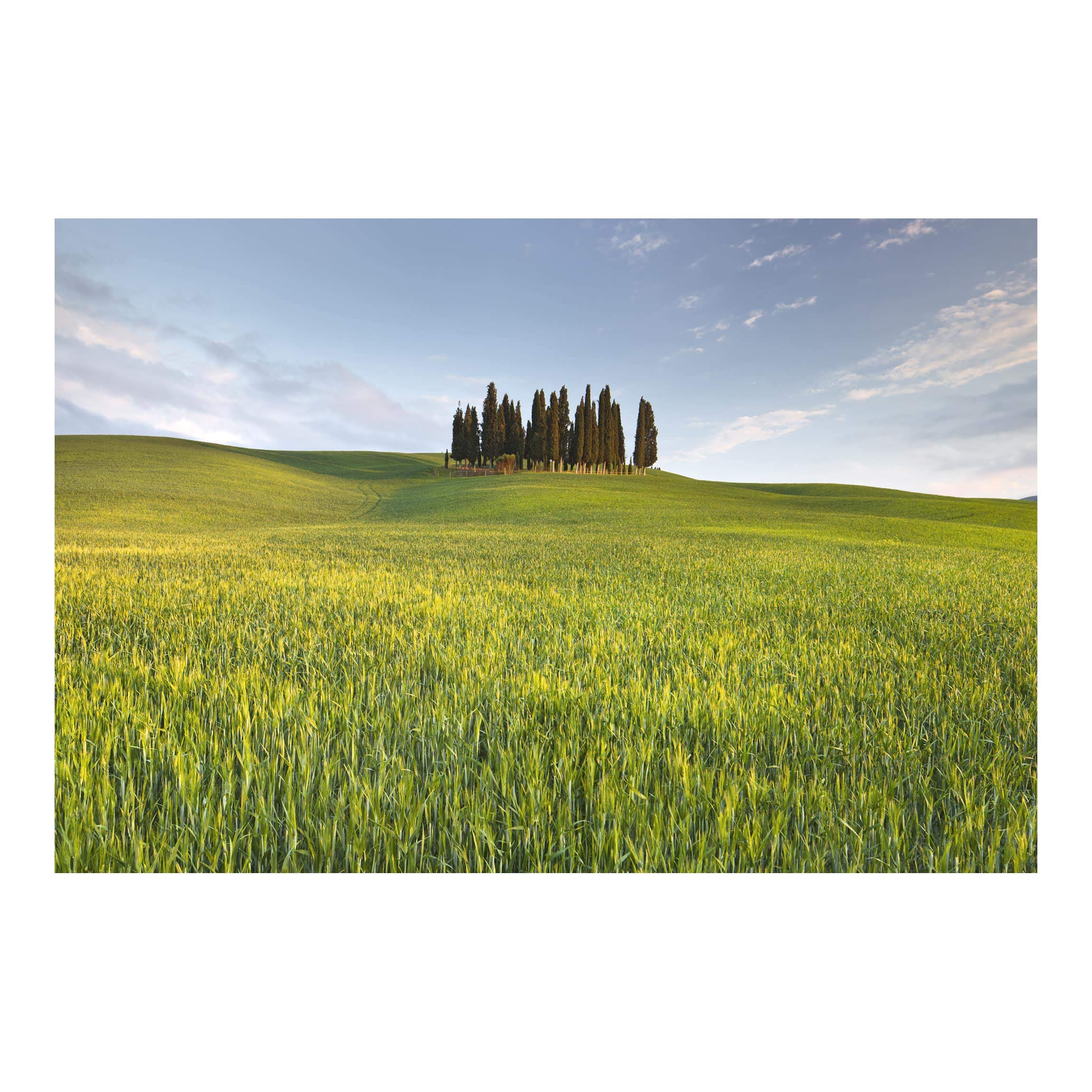 Self-Adhesive Removable Wallpaper - Tuscan Green Field Landscape Design (75