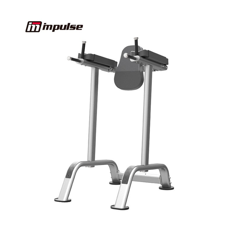 IT7010 Vertical Knee Raise with Chin Up and Dip Station - Home Gym Equipment for Core & Upper Body Workout - Perfect for Strength Training, Pull Ups, and Ab Exercises
