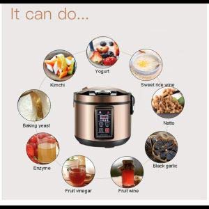 Garlic Plus - Multi-Functional Fermenter for Pickles, Kimchi, Sauerkraut & Homemade Probiotic Foods | Ideal for Fermentation, Food Preservation & Healthy Gut Recipes