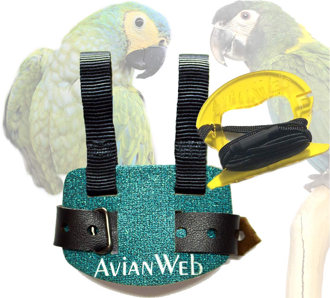 EZ Macaw Bird Harness with 8 Ft Leash - X-Small Sparkly Seagreen | Safe & Adjustable Parrot Flight Harness for Outdoor Adventures, Training & Travel