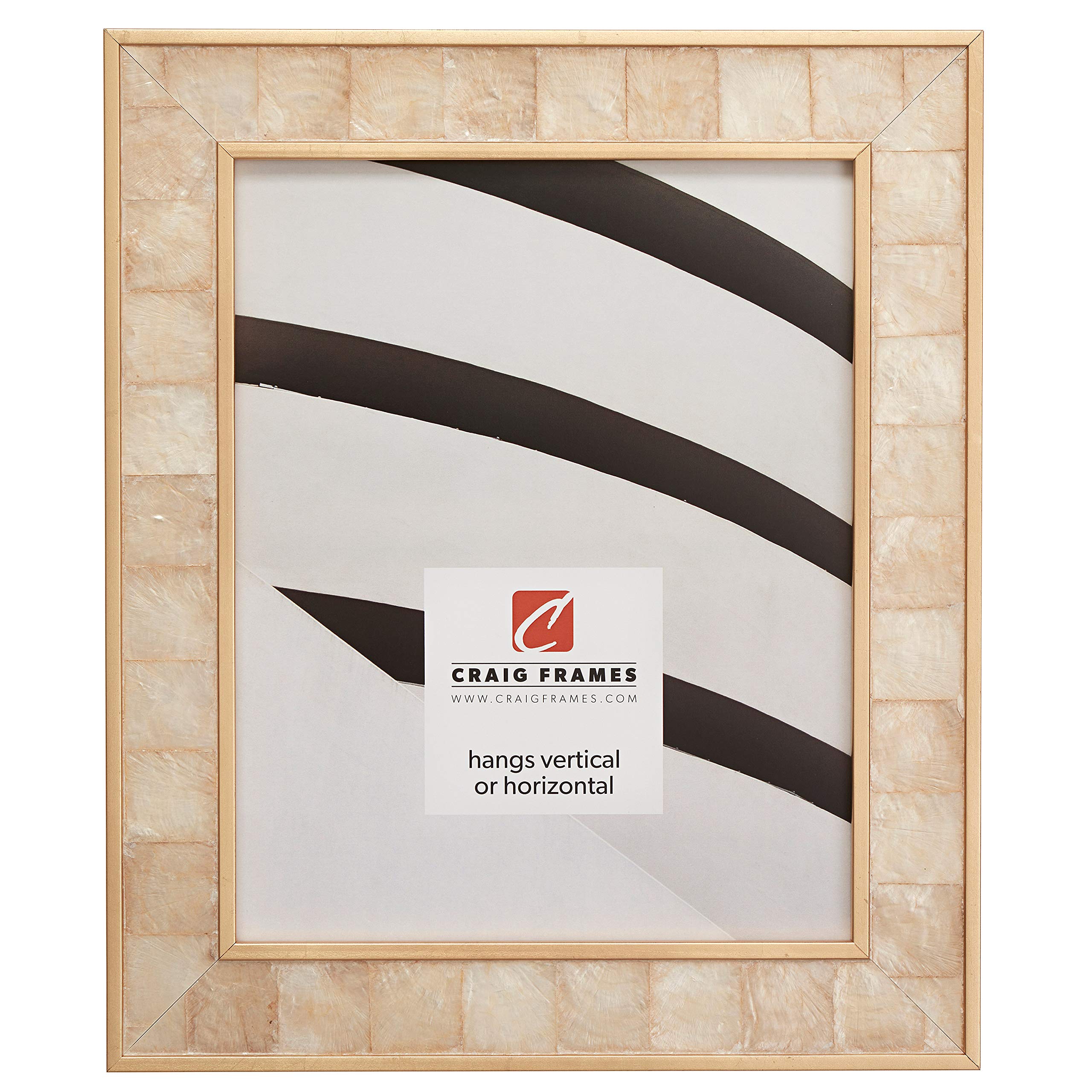Craig Frames 8x10 Inch Gold Mother of Pearl Picture Frame for Wall Decor