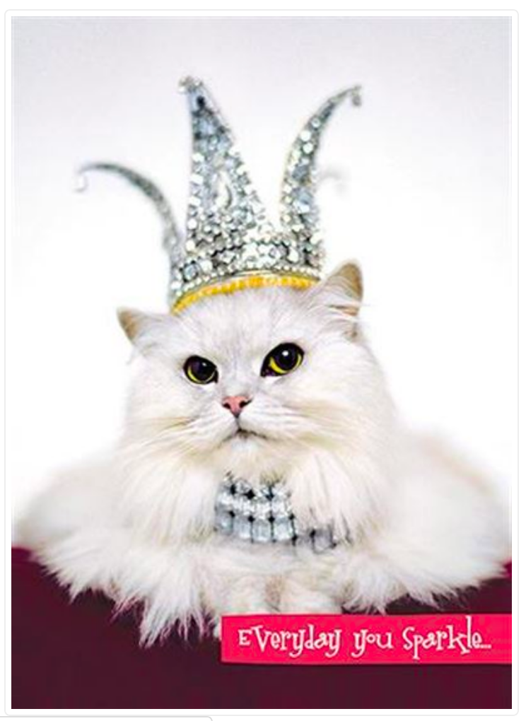 Funny Cat & Tiara Birthday Card for Grandma - Perfect for Grandmother's Day, Mother's Day & Special Occasions