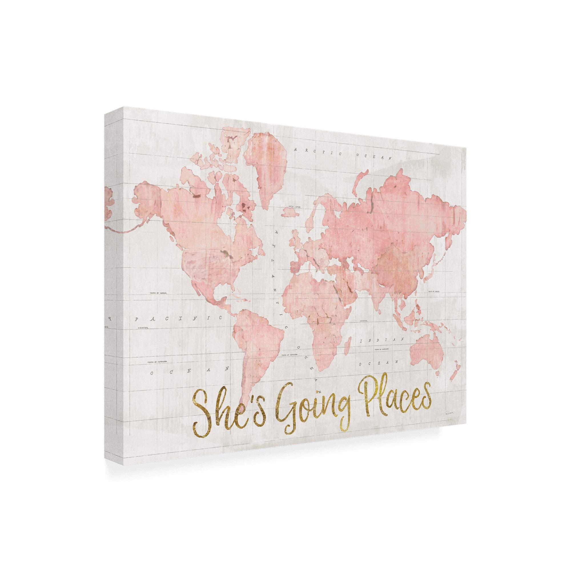 Trademark Fine Art - Sue Schlabach's 'Across The World She's Going Places' Pink Wall Art Print 35x47 - Perfect for Girls' Bedroom, Nursery Decor & Inspirational Gift