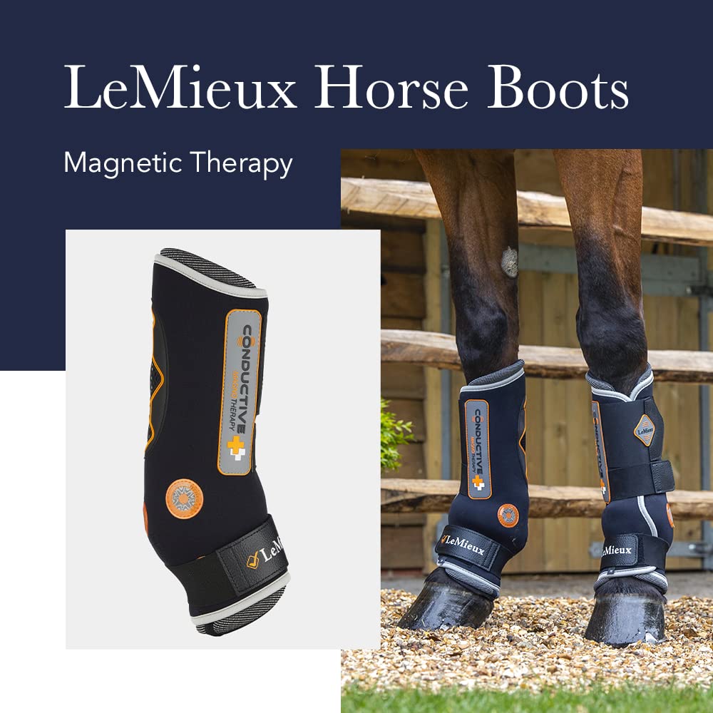 LeMieux Magno Magnetic Therapy Horse Boots - Conductive Equine Boots for Protection & Training - Horse Wraps & Accessories for Joint Support & Recovery - Ideal for Dressage, Jumping & Stable Use