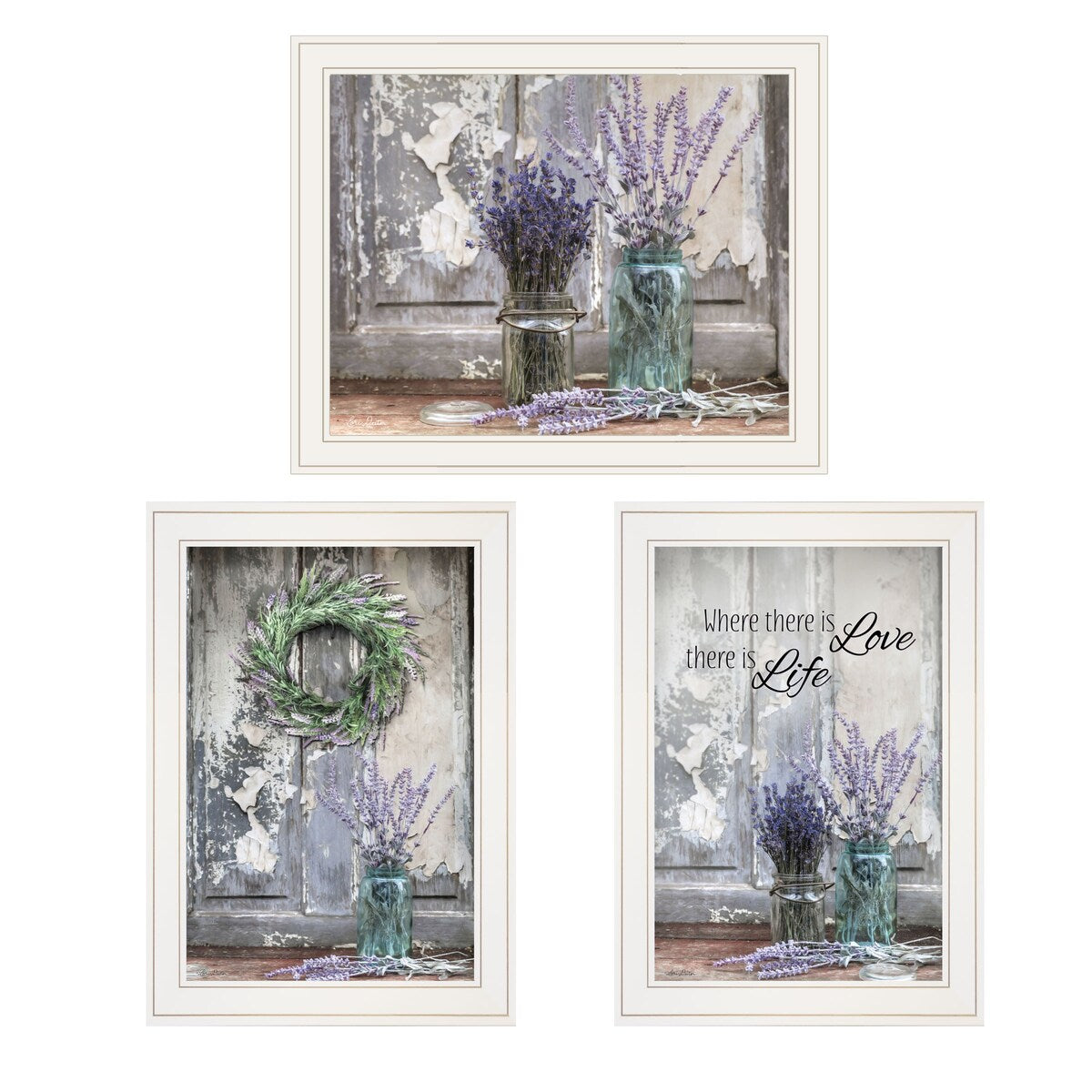 Abundance Beauty 2-Piece Vignette Wall Art Set by Lori Deiter - White Framed Home Decor for Living Room, Bedroom & Office