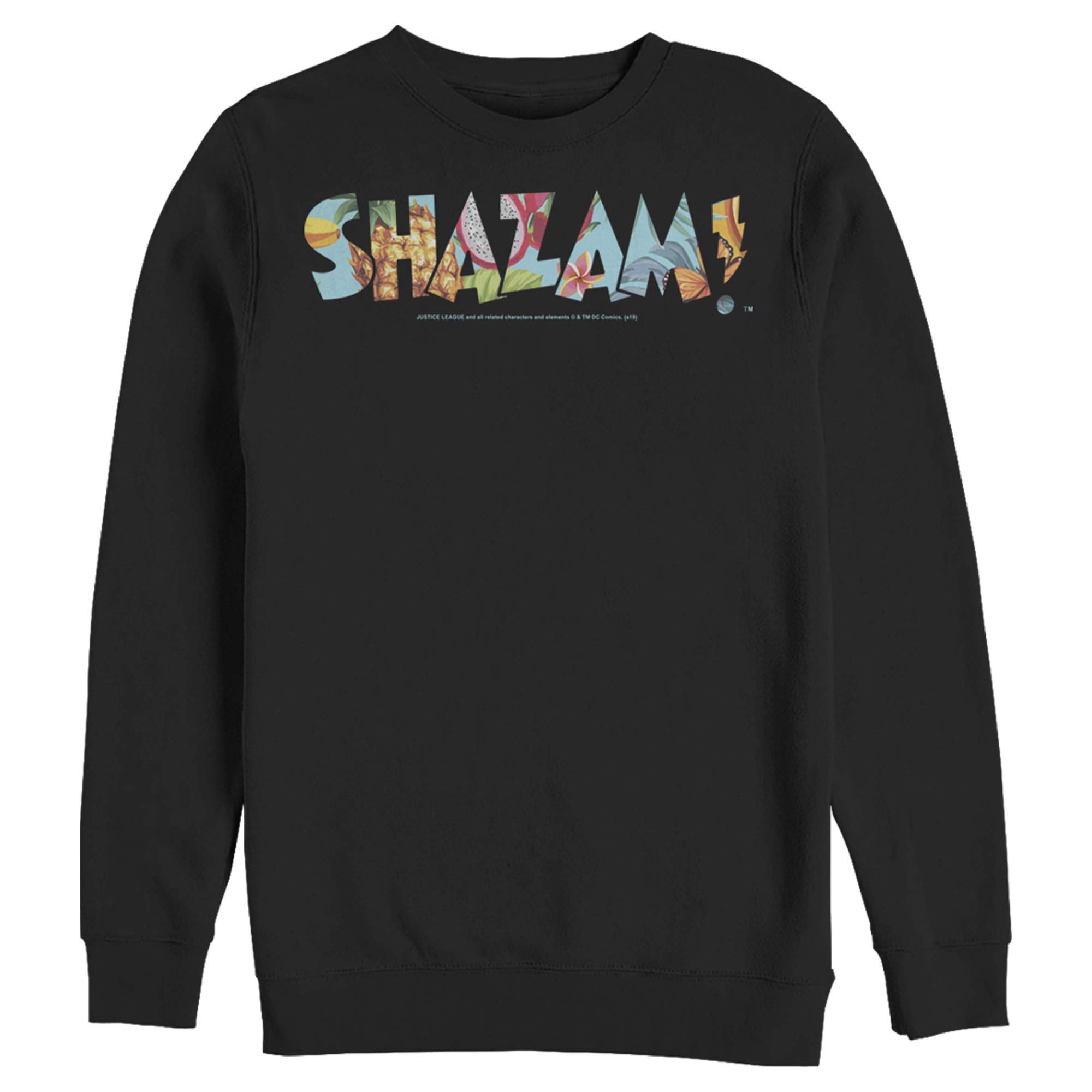 Men's Justice League Shazam Dragon Fruit Logo Hoodie Sweatshirt - Superhero Graphic Pullover for Casual Wear & Comic Con Cosplay