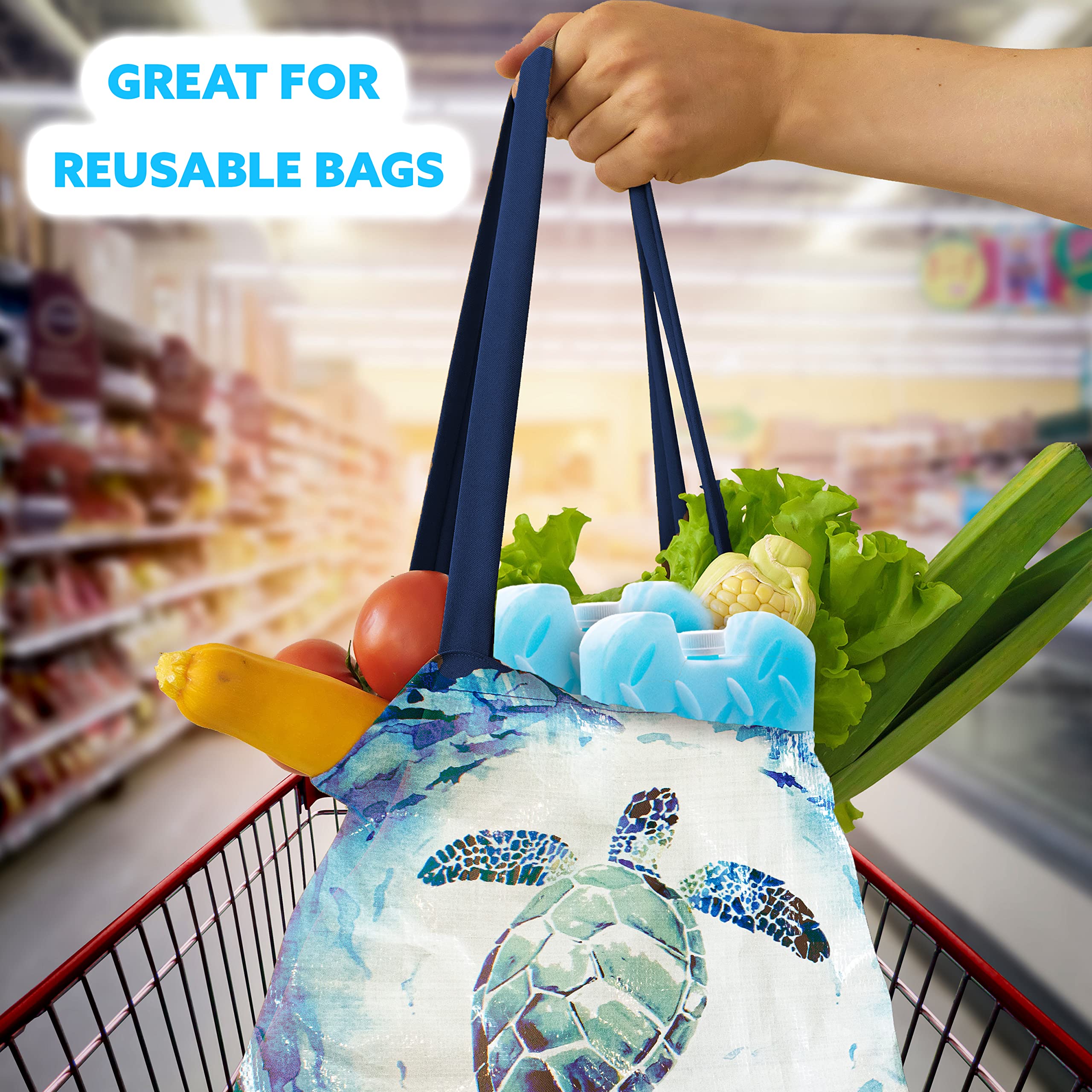 Kona Blue Ice 2 Pound Reusable Ice Packs for Coolers - Long Lasting Refreezable Gel Packs (2-Pack) - Perfect for Camping, Picnics, and Food Delivery
