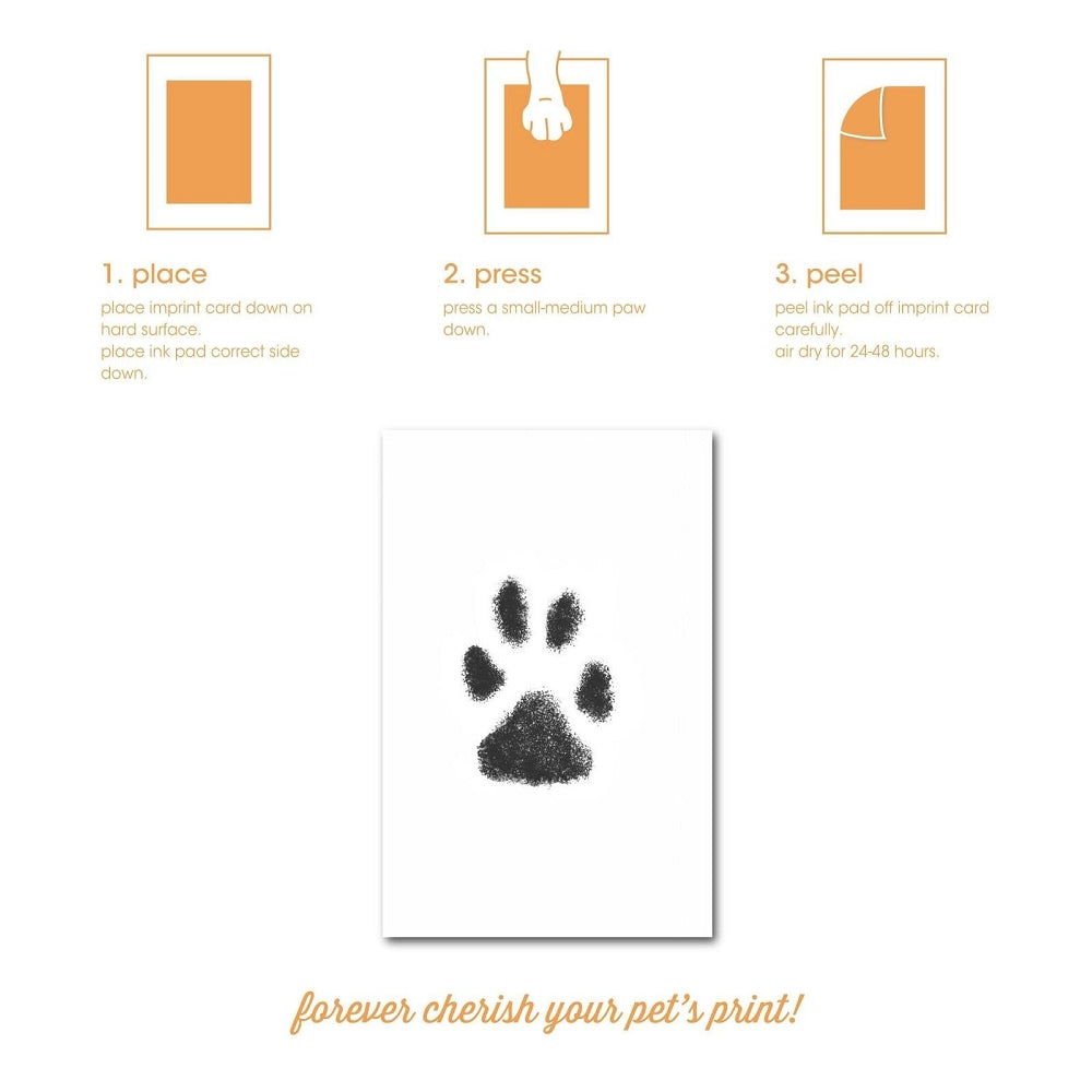 Christmas Paw Print Greeting Cards with Envelopes - 24 Pack Holiday Animal Theme Note Cards for Xmas Gifts, Party Invitations & Festive Greetings (Pet Lover, Dog Cat Theme)