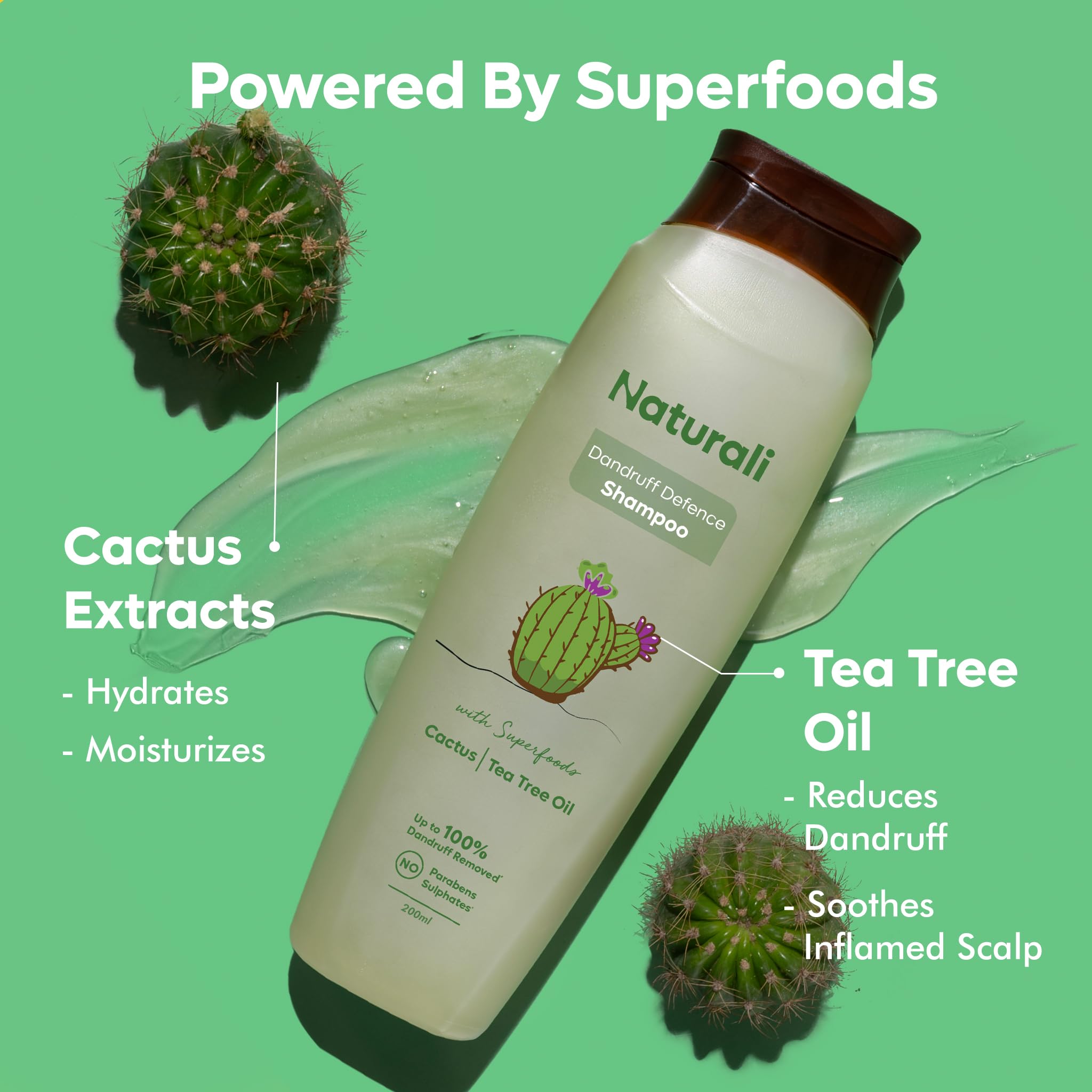 Natural Tea Tree Oil & Cactus Extract Anti-Dandruff Shampoo - Sulfate & Paraben Free, Scalp Soothing Treatment for Dry, Itchy Scalp - 200ml Bottle for Men & Women - Perfect for Daily Hair Care & Dandruff Prevention