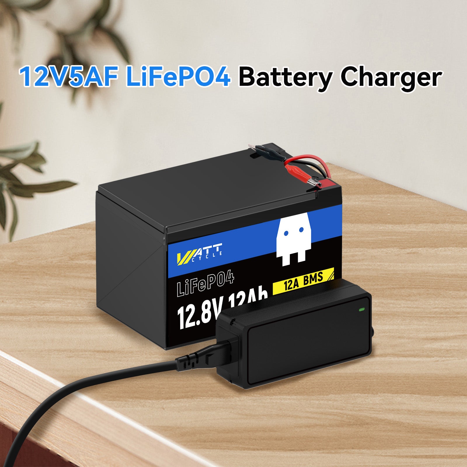 14.6V 5A LiFePO4 Battery Charger with Plastic Shell - Fast Charging for Electric Bikes, Scooters, and Power Tools | Durable & Safe Lithium Iron Phosphate Charger