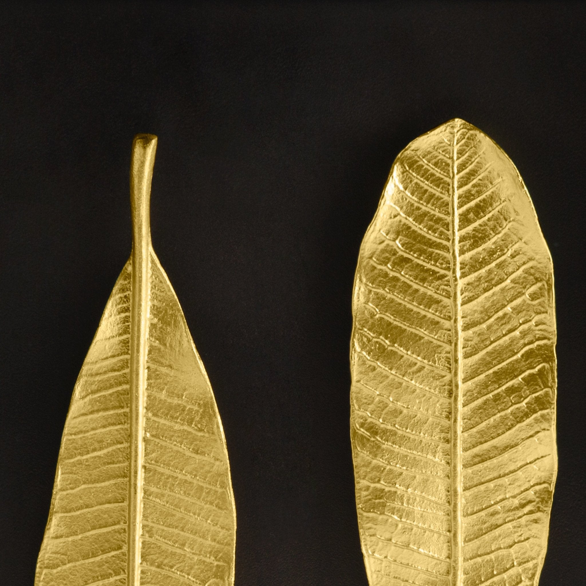 Handmade Champa Leaf Shadow Box - Natural Floral Wall Art Decor for Home & Office - Perfect for Boho, Farmhouse, and Zen Interior Design Styles