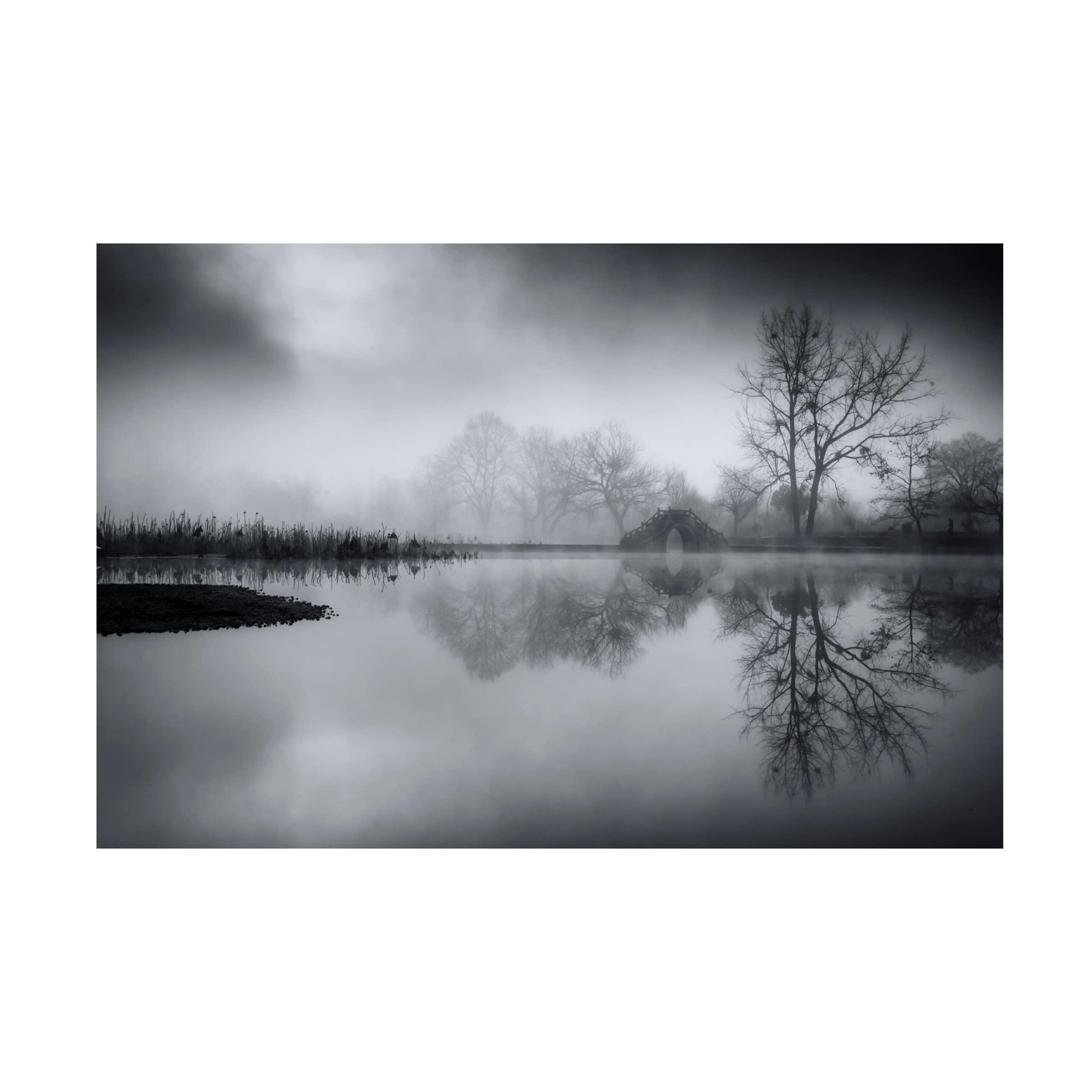 Trademark Fine Art 'Arae' Canvas Art by Chenzhe - Modern Abstract Wall Decor for Living Room, Bedroom & Office