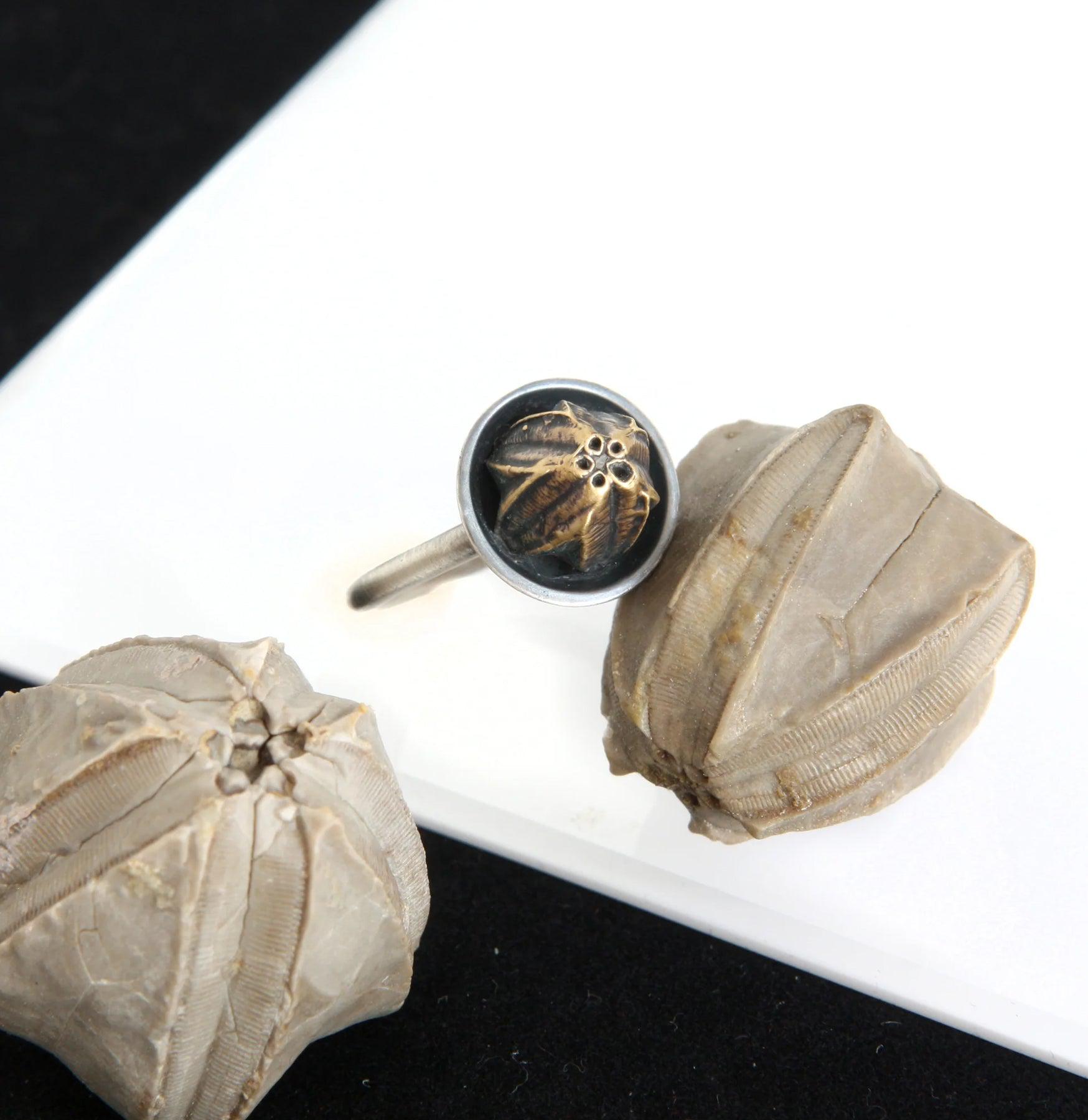 Ambulacra Ring - Elegant and Unique Handmade Jewelry for Women | Perfect for Everyday Wear, Gifts, and Special Occasions