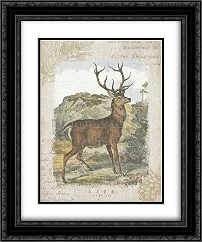 Wild Apple Portfolio 15x17 Inch Black Ornate Framed Double Matted Museum Art Print - Woodland Stag I - Perfect for Living Room, Bedroom or Office Wall Decor