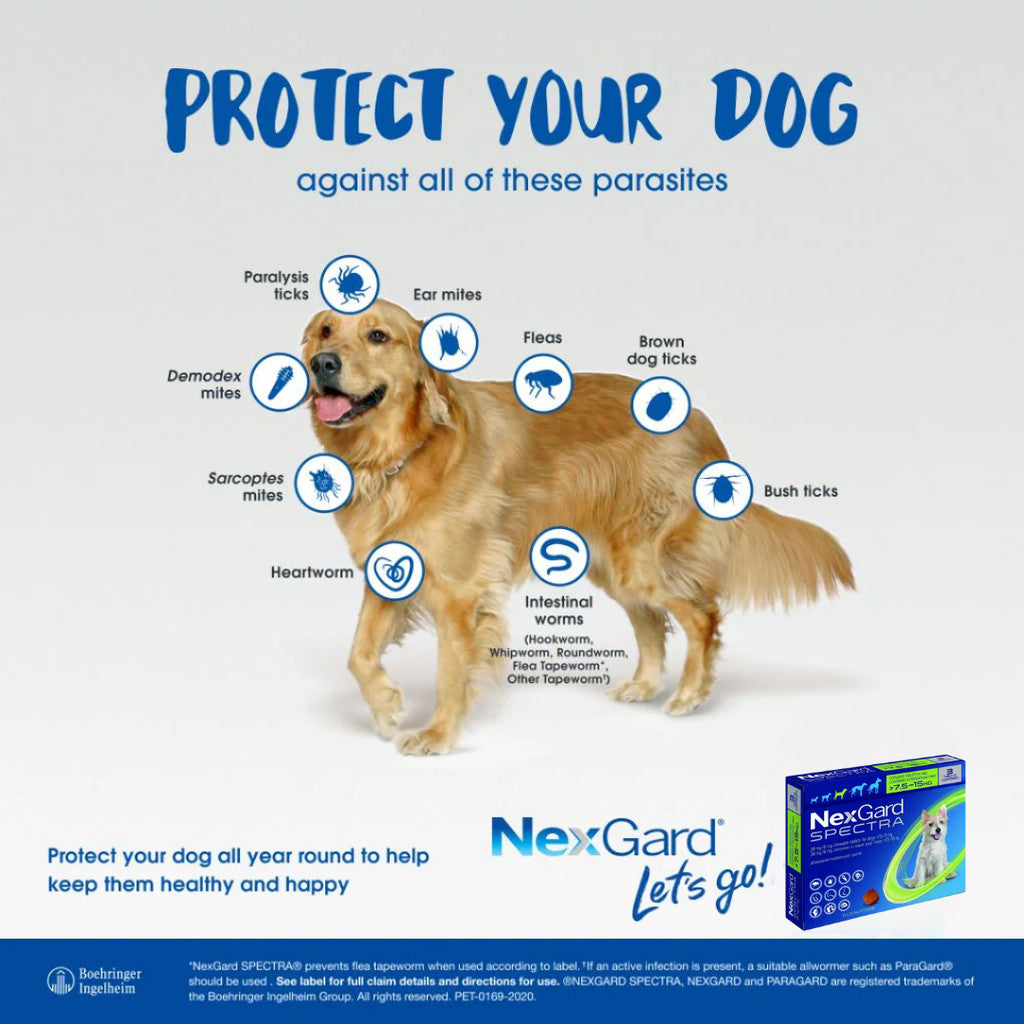 NexGard Spectra Chewable Tablets for Dogs - 3 Month Supply, Flea & Tick Prevention, Heartworm Protection - Beef Flavor for All Breed Sizes | Ideal for Outdoor Adventures & Home Protection