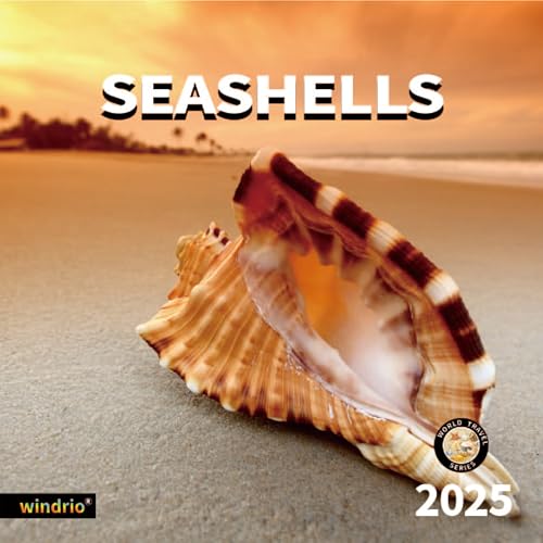 SEASHELLS