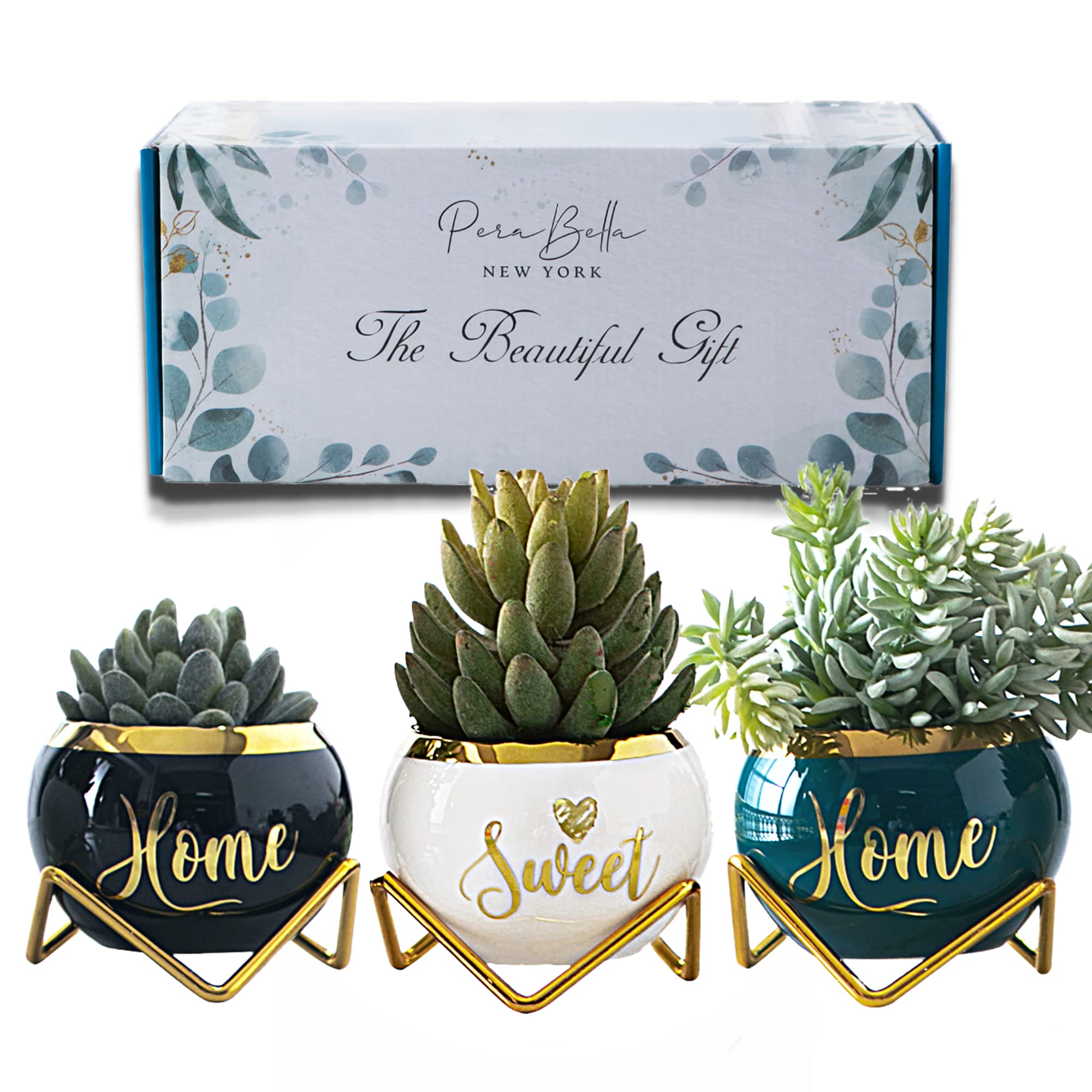 Best Housewarming Gifts for New Home - Farmhouse Style Succulent Plant Pots Set of 3 | Perfect for Living Room Decor, Home Essentials & Plant Lovers