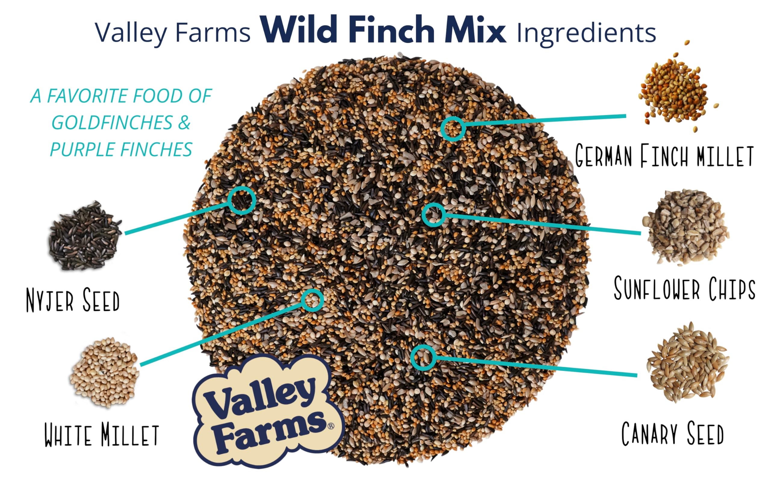 Premium Wild Finch Seed Mix - 4 LBS Nutritious Bird Food with Millet & Sunflower Hearts for Outdoor Feeders | Attracts Finches & Wild Birds | Perfect for Backyard Birdwatching & Garden Feeders