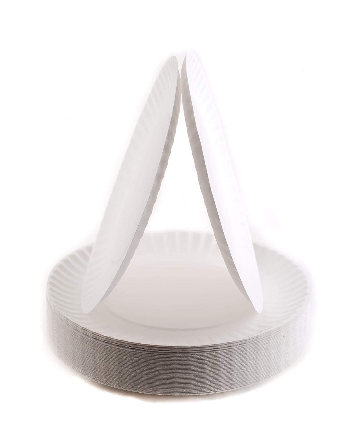 1000-Pack AME D'ESSENCE 9 Inch Disposable Paper Plates - Uncoated White Bulk Dinner Plates for Parties, Picnics & Catering | Eco-Friendly Large Paper Plates for BBQ, Birthday & Family Gatherings