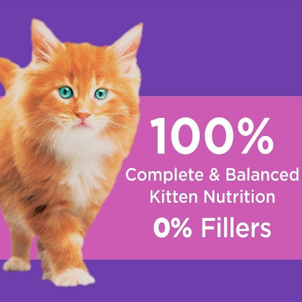 IAMS Proactive Health Healthy Kitten Dry Cat Food - Premium High Protein Kibble for Growing Kittens - Perfect for Indoor & Outdoor Cats (Use for Daily Feeding, Training Treats, or Mixed with Wet Food)