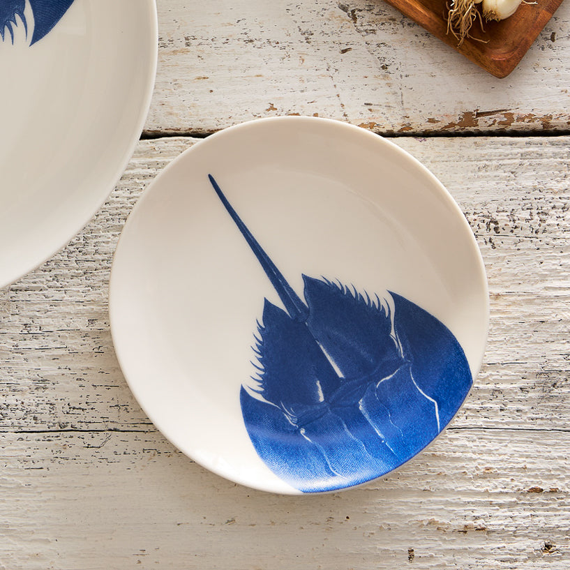 Horseshoe Crab Coupe Salad Plate - Elegant Appetizer Dish for Seafood, Sushi & Fine Dining | Perfect for Restaurants, Catering & Home Entertaining