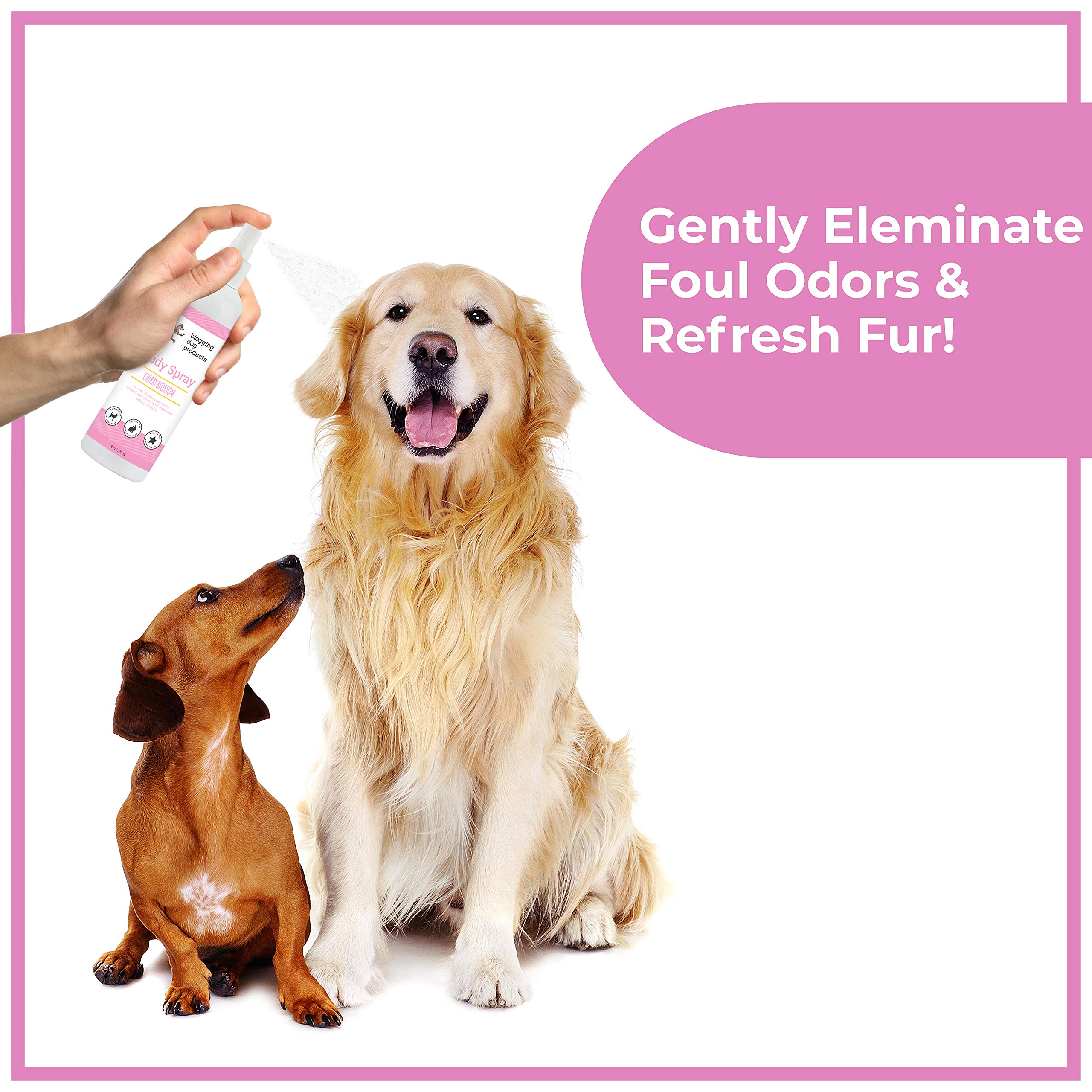 Premium Long-Lasting Dog Perfume Spray - Pet Odor Eliminator & Cologne for Smelly Dogs - Refreshing Deodorizer for Grooming - Perfect for Daily Use, Vet Visits & Outdoor Adventures