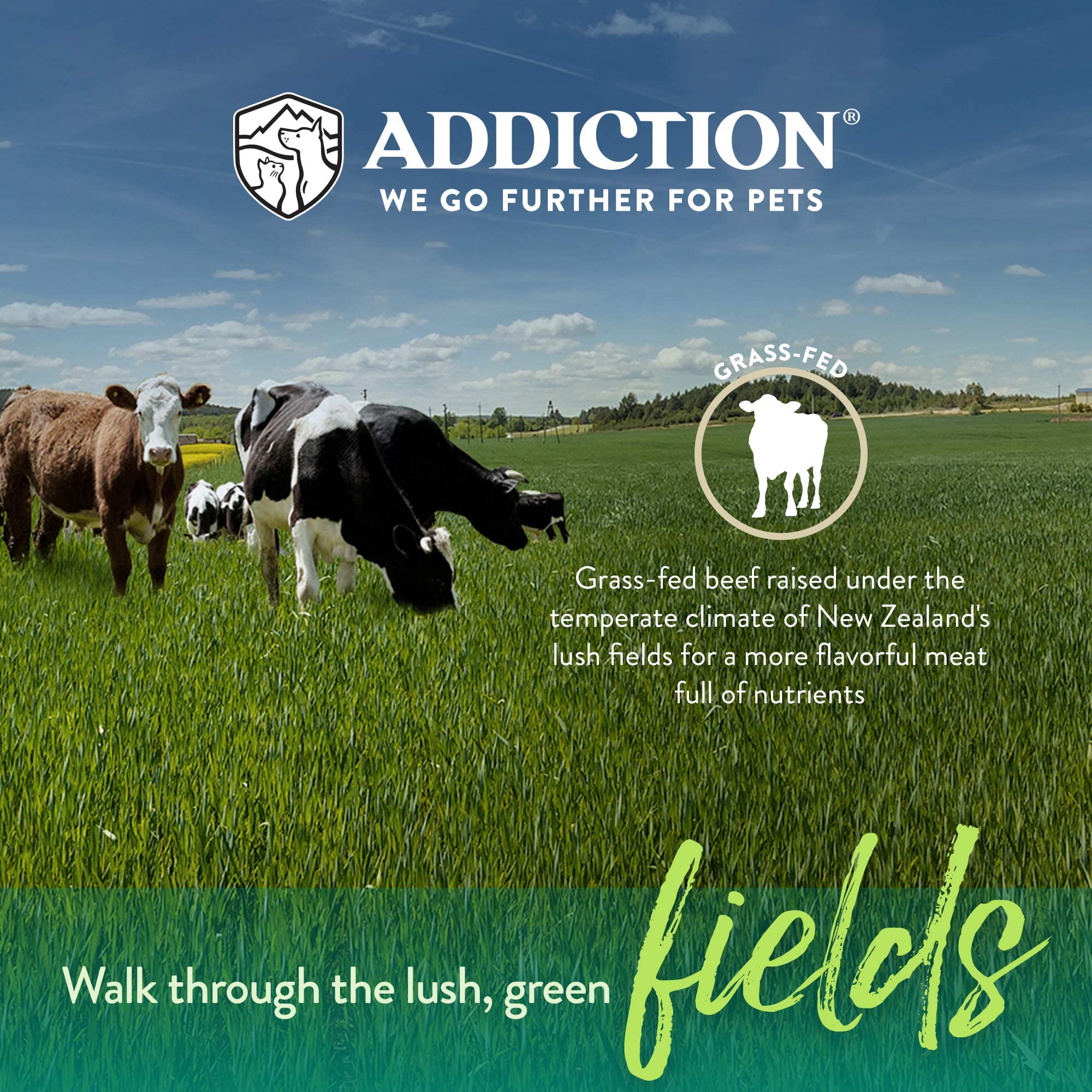 Addiction Meaty Bites Hypoallergenic Dog Treats - High Protein Grain-Free Soft Dog Snacks - Made in New Zealand - Beef Flavor (4oz x 3 Packs) - Perfect for Training, Rewards & Sensitive Stomachs