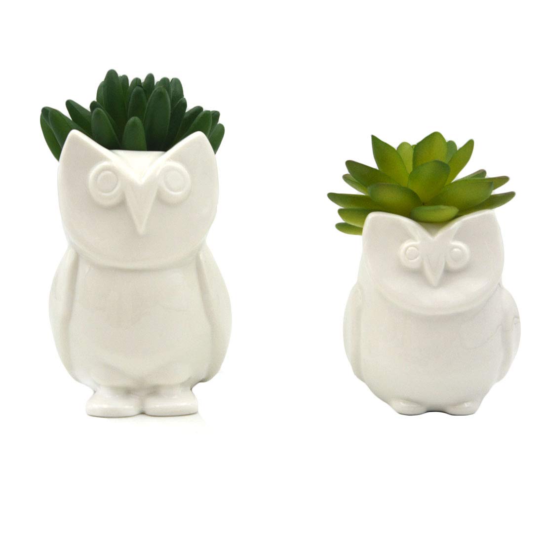 Adorable Animal Succulent Planter - Cute Ceramic Flower Pot for Plants, Home & Office Desk Decor (White) | Perfect for Succulents, Small Cacti & Air Plants - Great Gift Idea for Plant Lovers