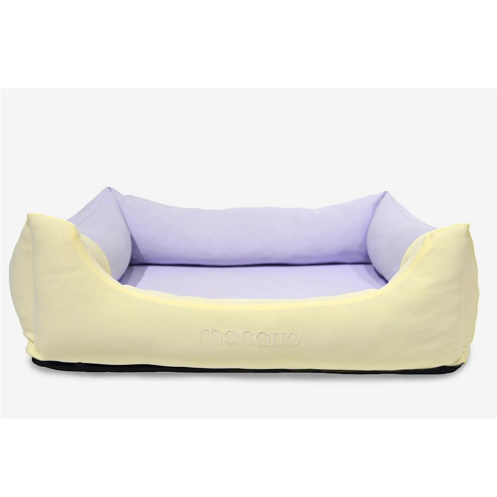 Purple and Yellow