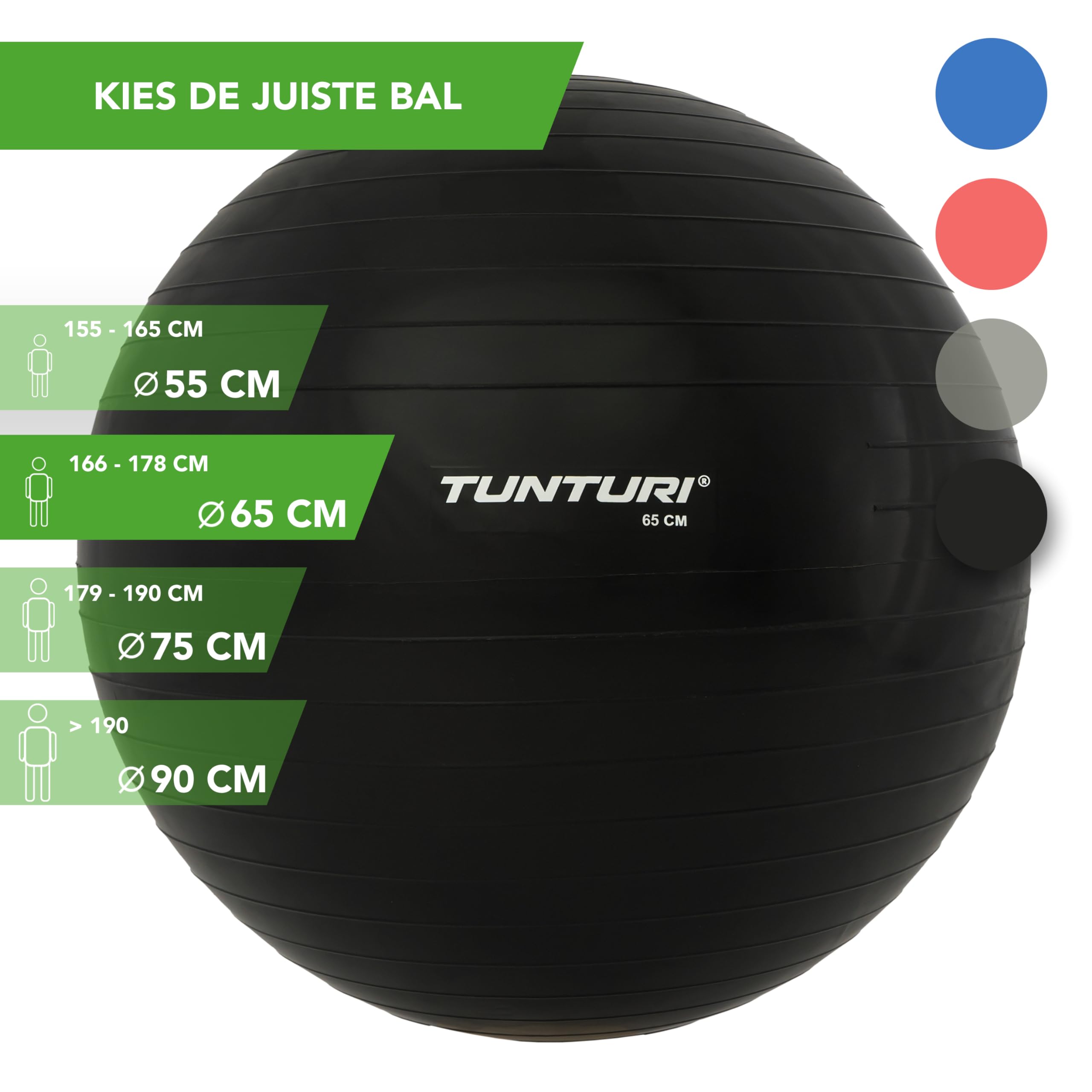 Tunturi Anti-Burst Exercise Ball for Yoga, Pilates, Core Workouts & Home Fitness - 65cm Stability Ball with Pump for Balance Training & Stretching