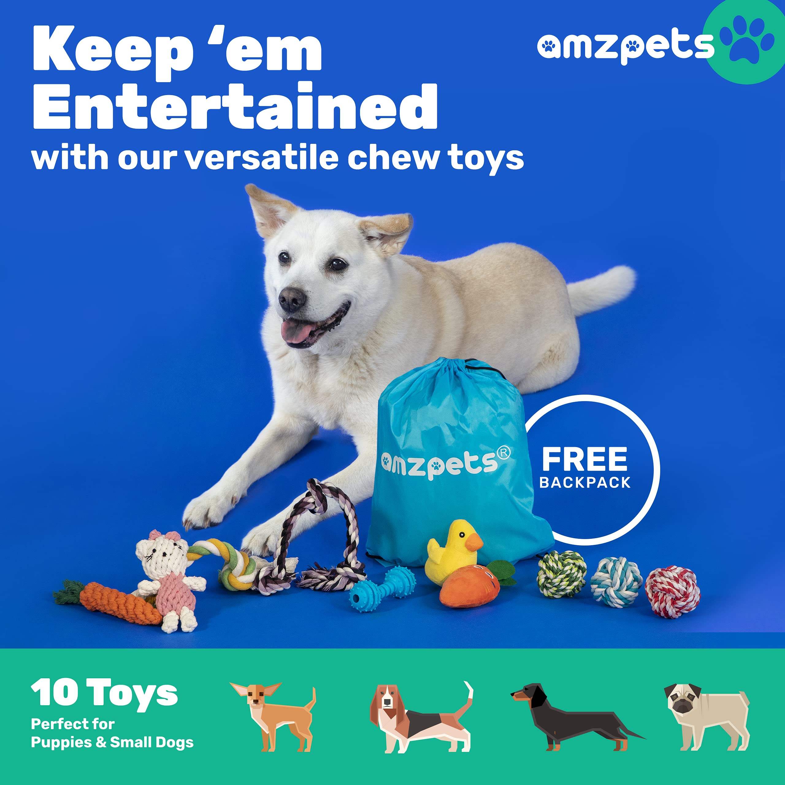 10 Pack Small Dog Toys for Puppies - Squeaky Chew Toys with Ropes, Balls & Rubber Bones - Interactive Plush Dog Toy Set for Tug of War, Fetch & Training - Perfect for Indoor/Outdoor Playtime & Puppy Teething Relief