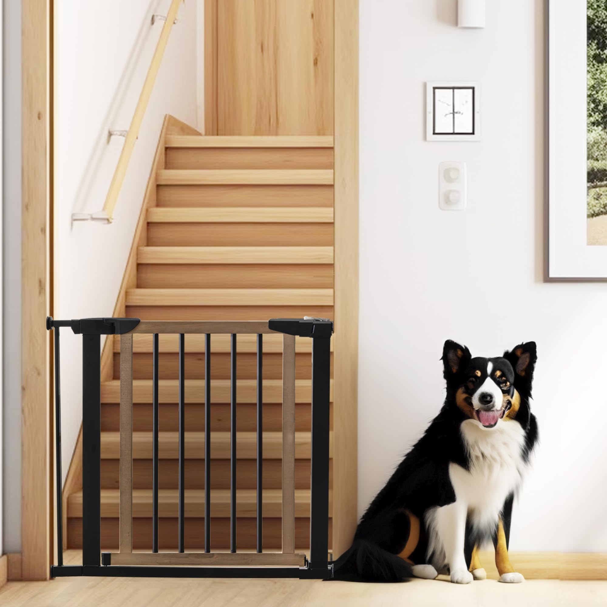 NMN Designs Logan Wooden Dog Gate - Expandable 29.5