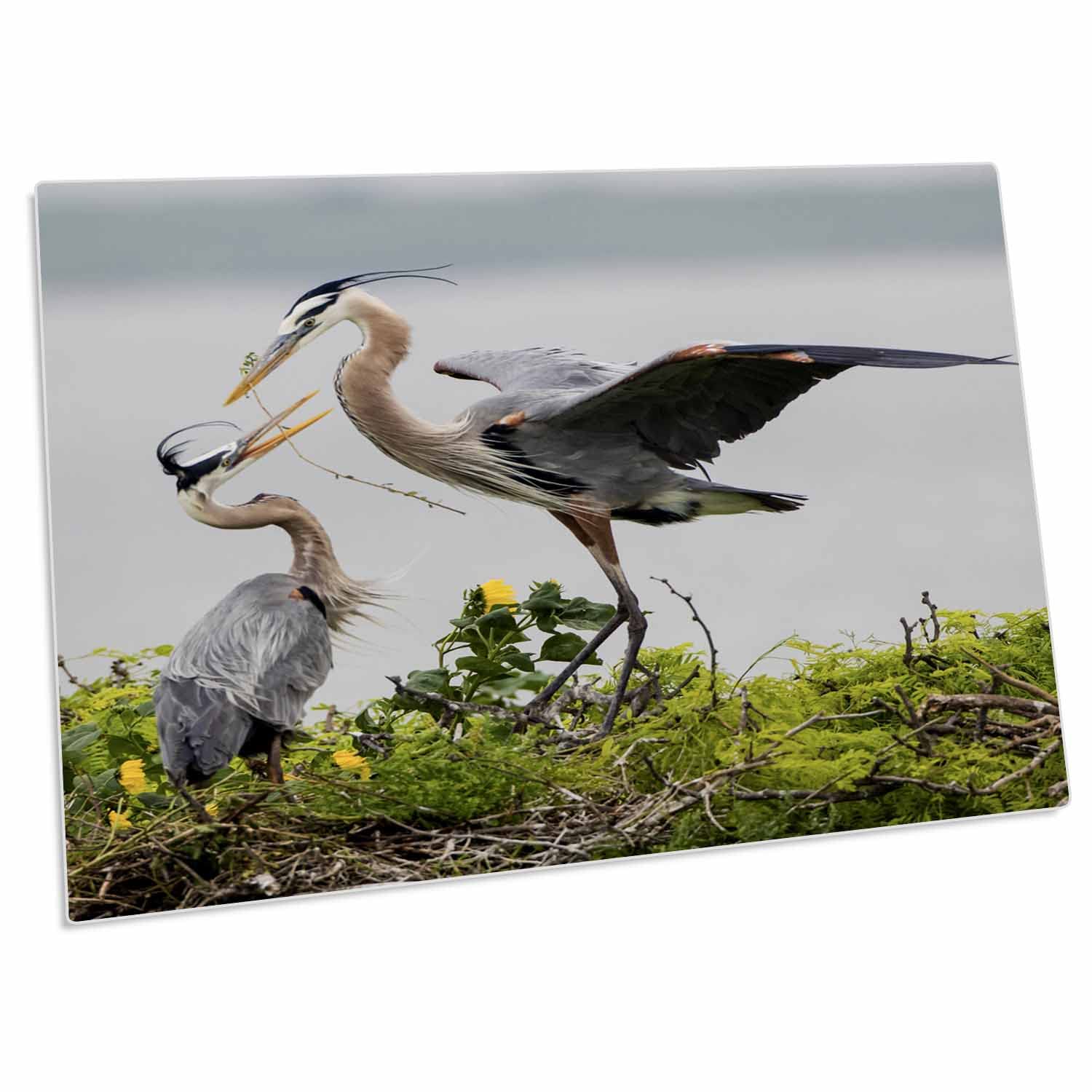 3D Rose Great Blue Heron Nesting Material Desk Pad Place Mats Set of 4 - Non-Slip Table Protector for Dining Room, Kitchen, Office (dpd-260115-1) - Perfect for Home Decor, Parties & Daily Use