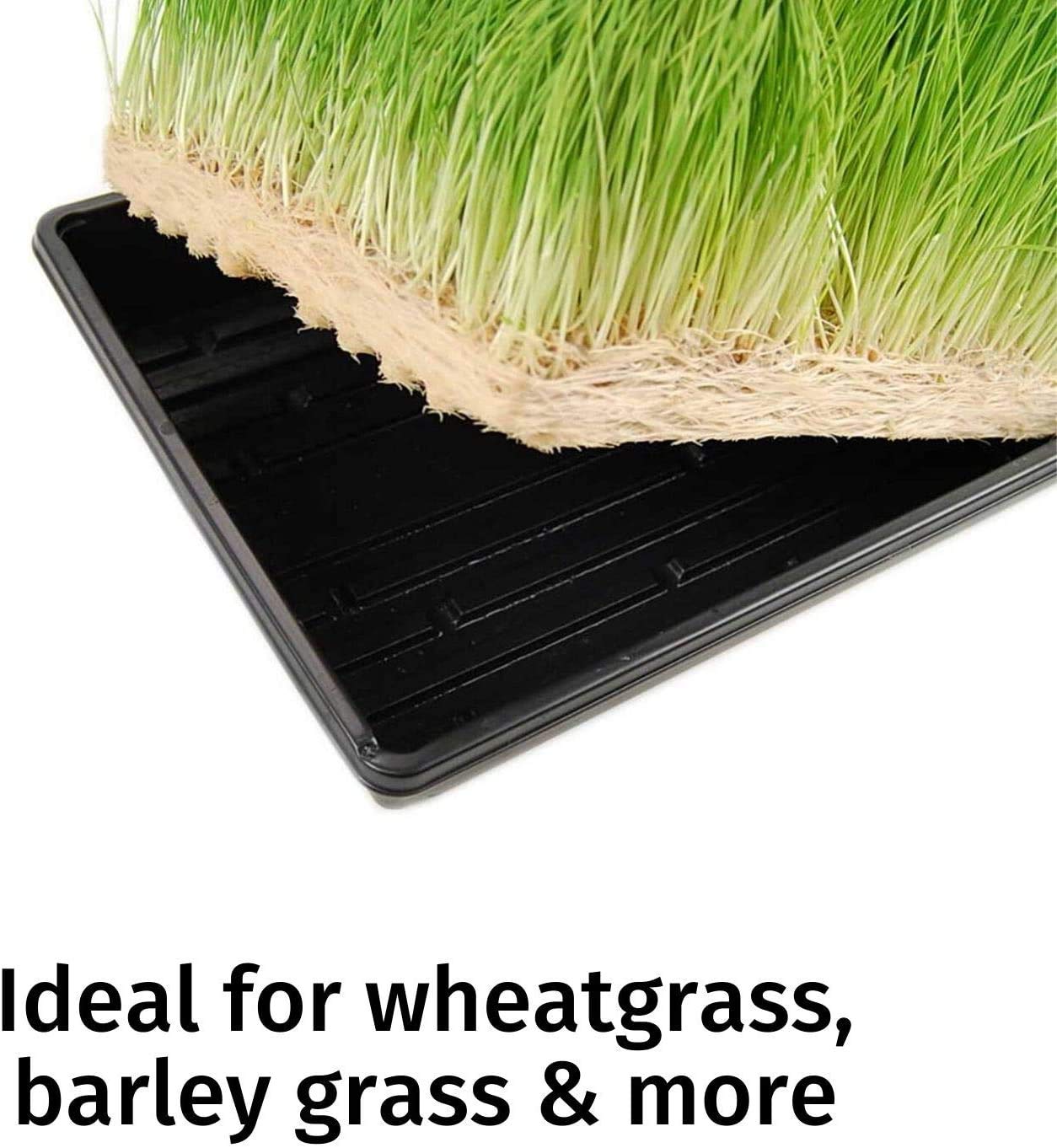 Organic Hydroponic Grow Pads for Wheatgrass & Microgreens - Handy Pantry Micro-Mat Minis 4