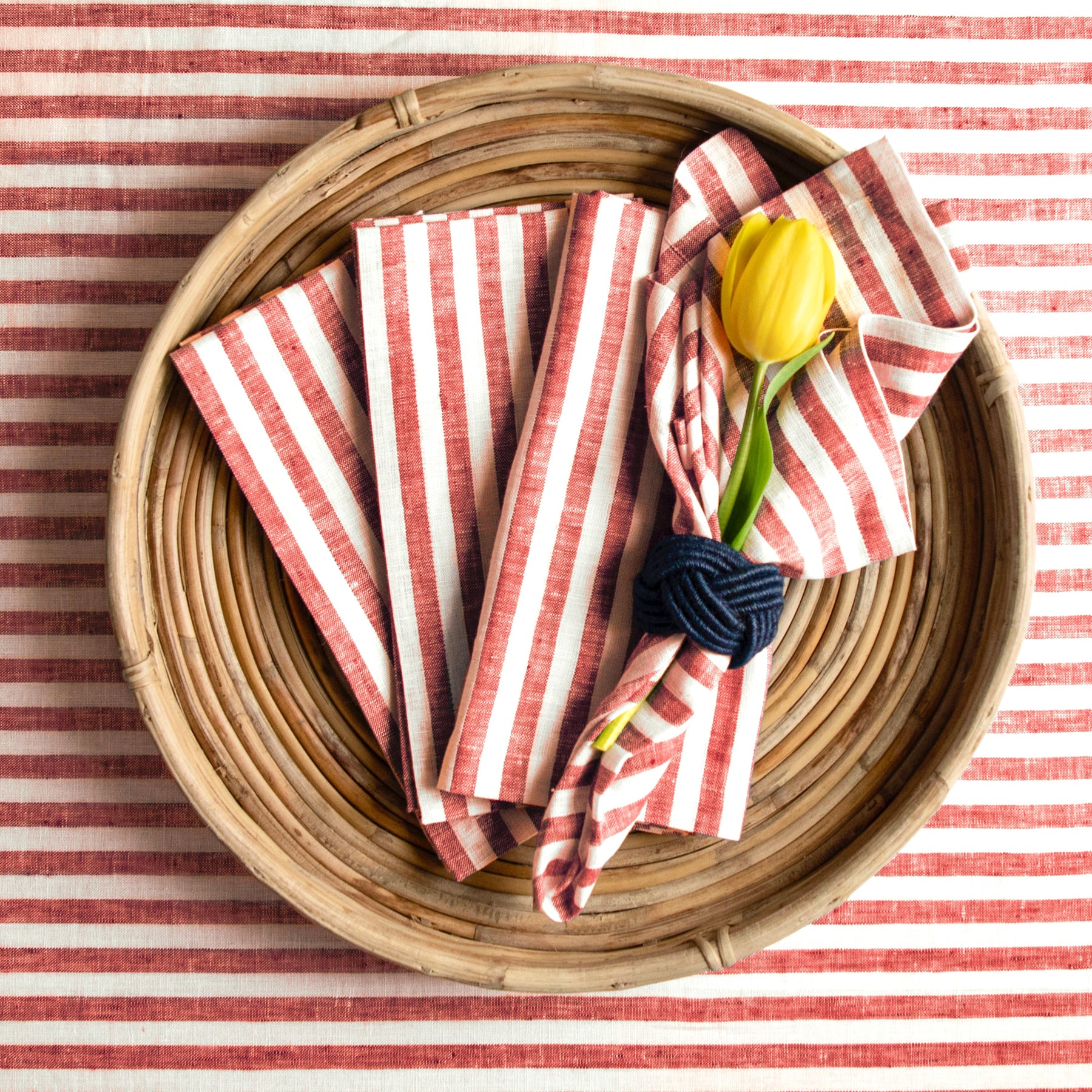 Coral and White Amalfi Stripe
