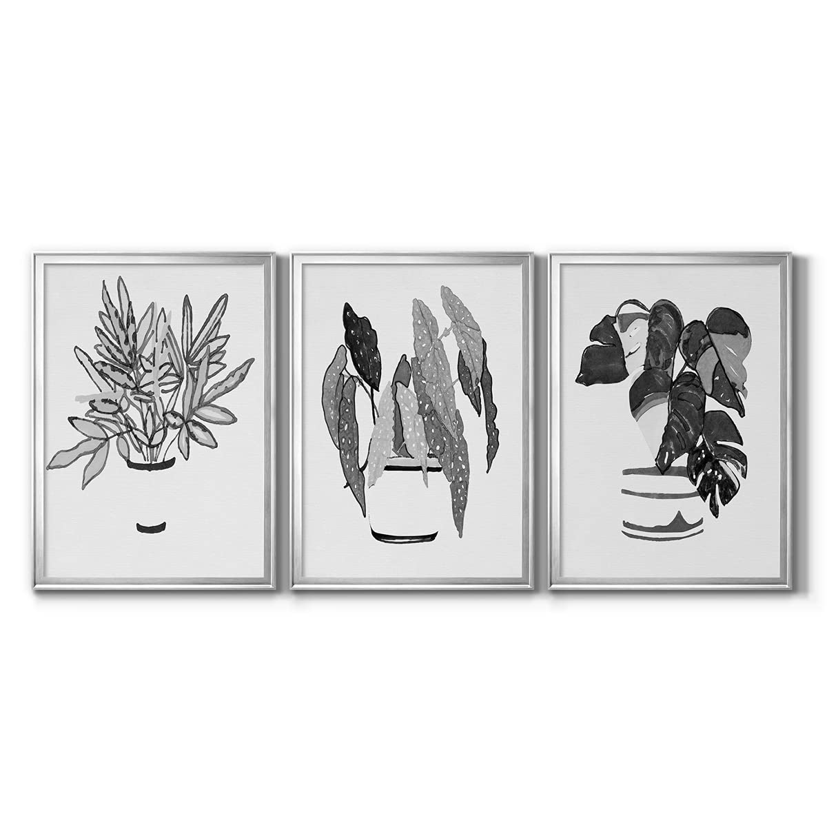 Rustic Contemporary Wall Decor Set - 3-Piece Silver Framed Canvas Art (18x24 Inches) for Bathroom, Living Room & Bedroom | Scandanavian & Latin Inspired Black & White Indoor Plant Prints - Perfect for Home & Office Decor