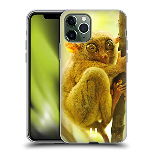 Tarsier Monkey