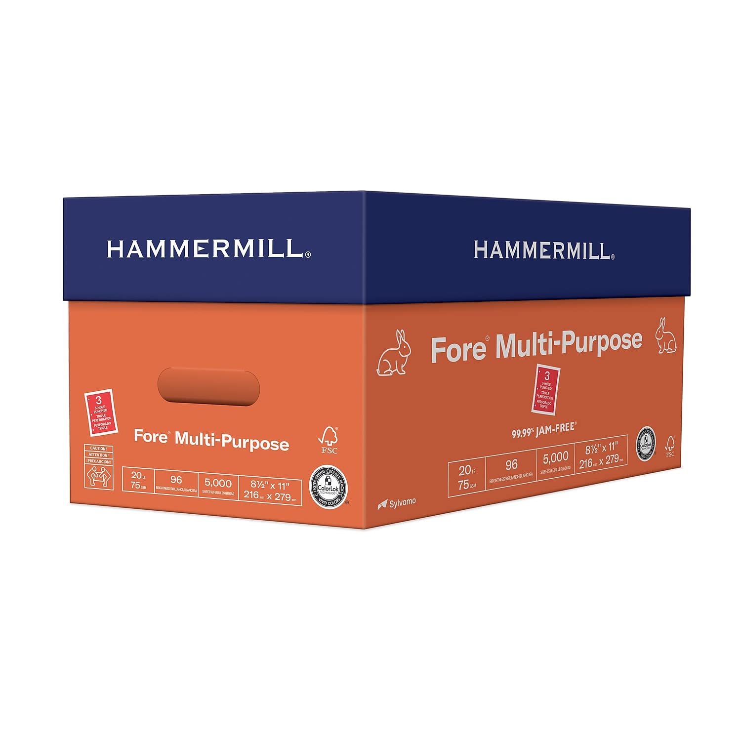 Hammermill Printer Paper, 20 lb Multipurpose Copy Paper, 3-Hole Punched, 1 Ream (500 Sheets), 96 Bright, Made in USA – Ideal for Home, Office, and School Printing Needs