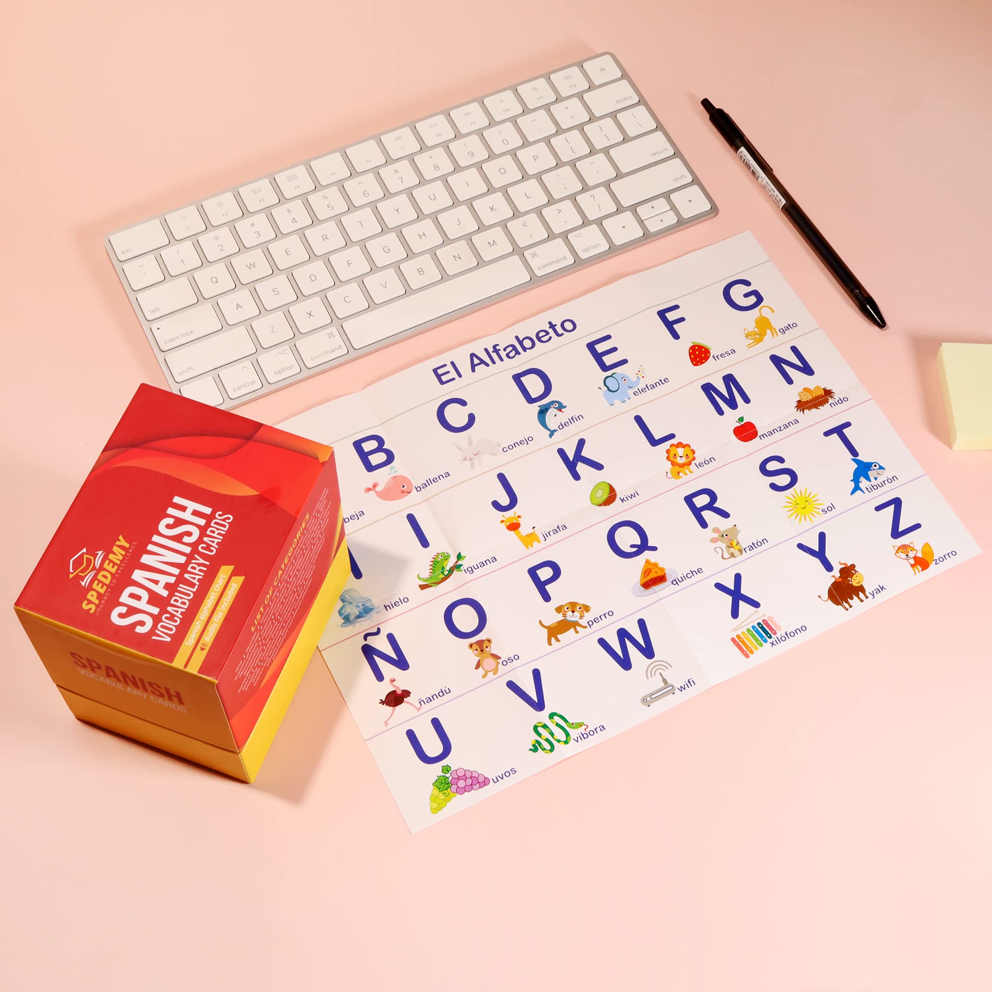 Spedemy Spanish Flash Cards for Adults & Kids - 276 Vocabulary Cards with Pictures, English Meaning & Pronunciation - 720 Words in 47 Categories - Alphabet Chart for Beginners - Perfect for Home Learning, Classroom & Travel Language Practice