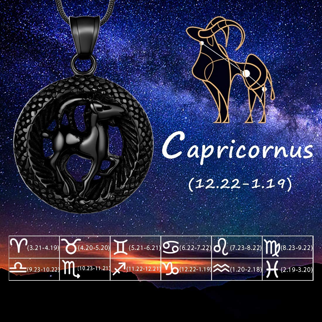 12 Zodiac Necklace 316L Stainless Steel Pendant - Birthday Gift for Men & Women