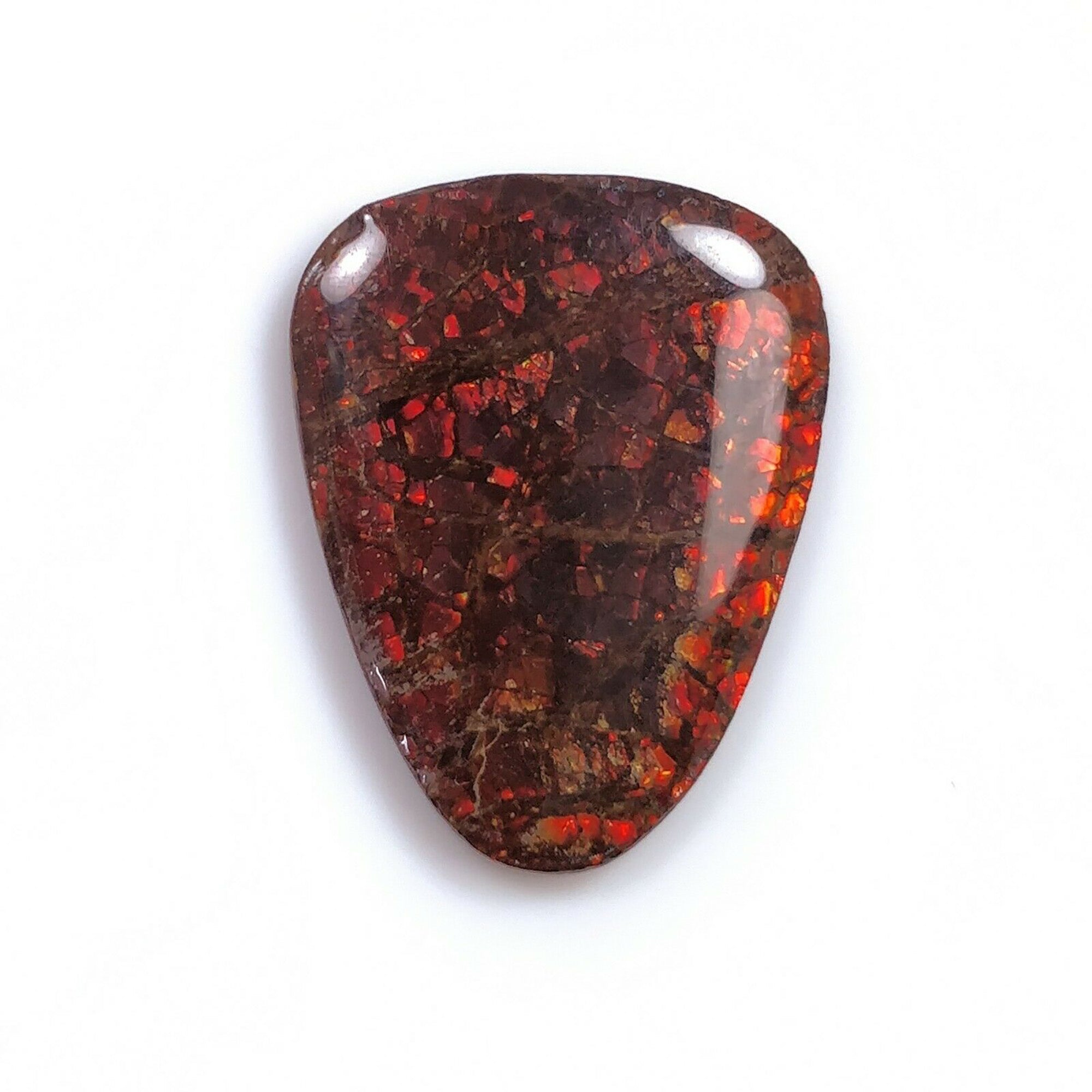 Natural AMMOLITE Gemstone Cabochon - Bi-Color Fossilized Shell Jewelry Making Stone (14x20mm or 24x19mm) for Pendants, Rings & Unique Handmade Jewelry Designs